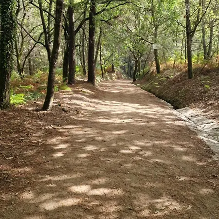 Kwatera prywatna Casa Celia Camino Portugues Tui