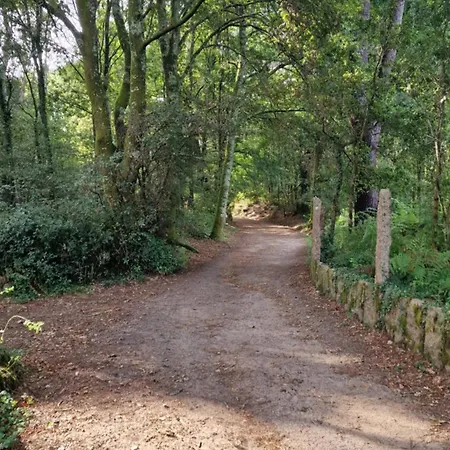 Casa Celia Camino Portugues منزل للإقامة توي