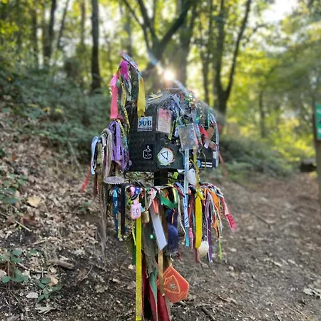 Kwatera prywatna Casa Celia Camino Portugues