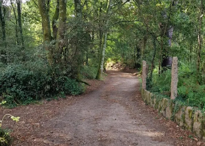 Casa Celia Camino Portugues 民宿 图伊